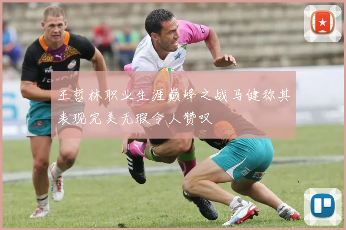 王哲林职业生涯巅峰之战马健称其表现完美无瑕令人赞叹
