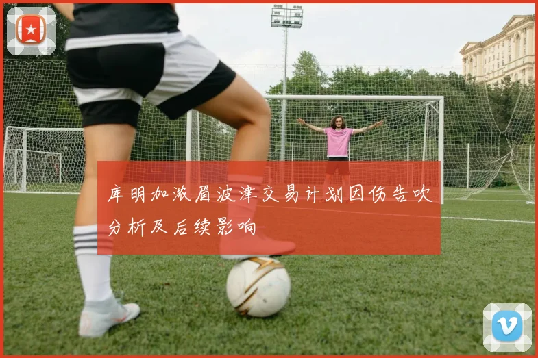 库明加浓眉波津交易计划因伤告吹分析及后续影响