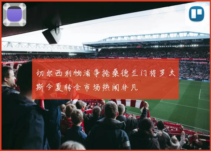 切尔西利物浦争抢桑德兰门将罗夫斯今夏转会市场热闹非凡