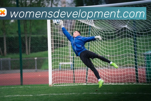 奖项证书